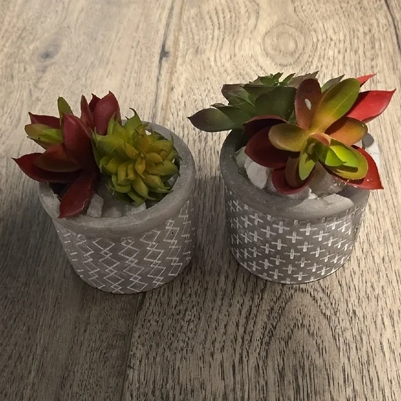 Decorative Succulent Planters - Red and Green - Picture 1 of 3